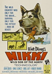 Nikki, Wild Dog of the North