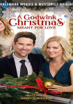 A Godwink Christmas: Meant for Love